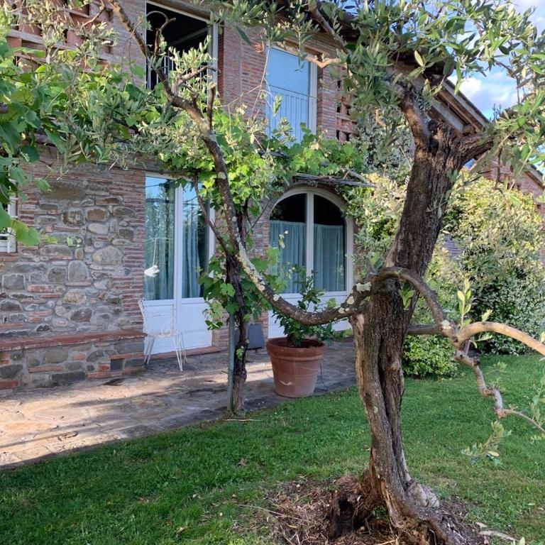 Relais Del Lago - Appartamento con 2 Camere da Letto (4 Adulti) - 1