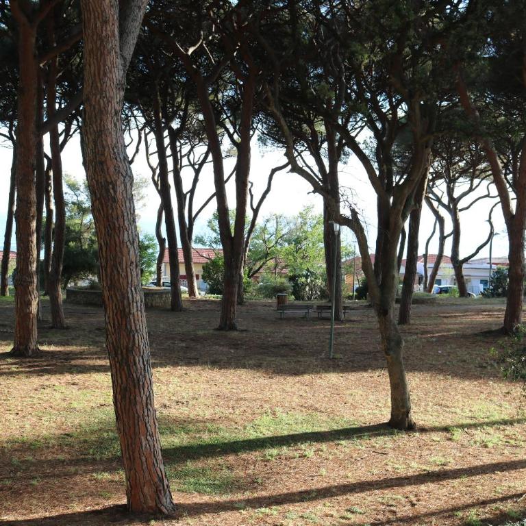Maremma Holidays - Lamarmora Apartment - Appartamento con 2 Camere da Letto - 1