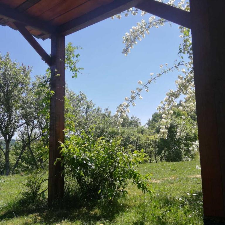 Green Idylle -Pyramid View - Vikendica - 10