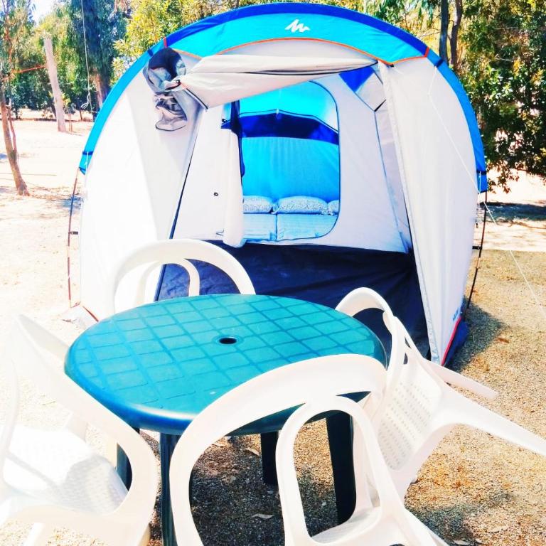 Camping la Naranja - Tent - 2