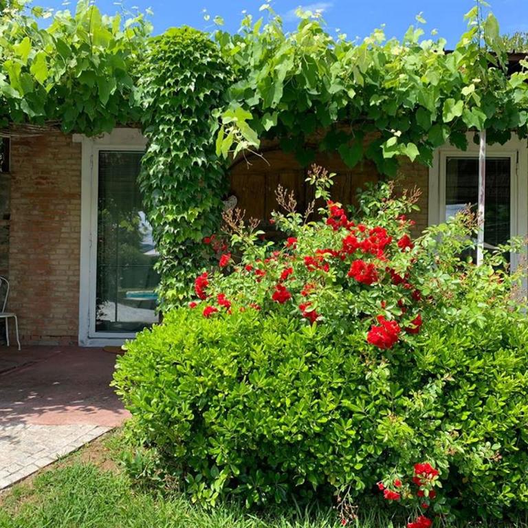 Relais Del Lago - Suite Deluxe - 2