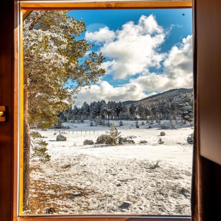 Original Wooden Lodge SG - Three-Bedroom House - 14