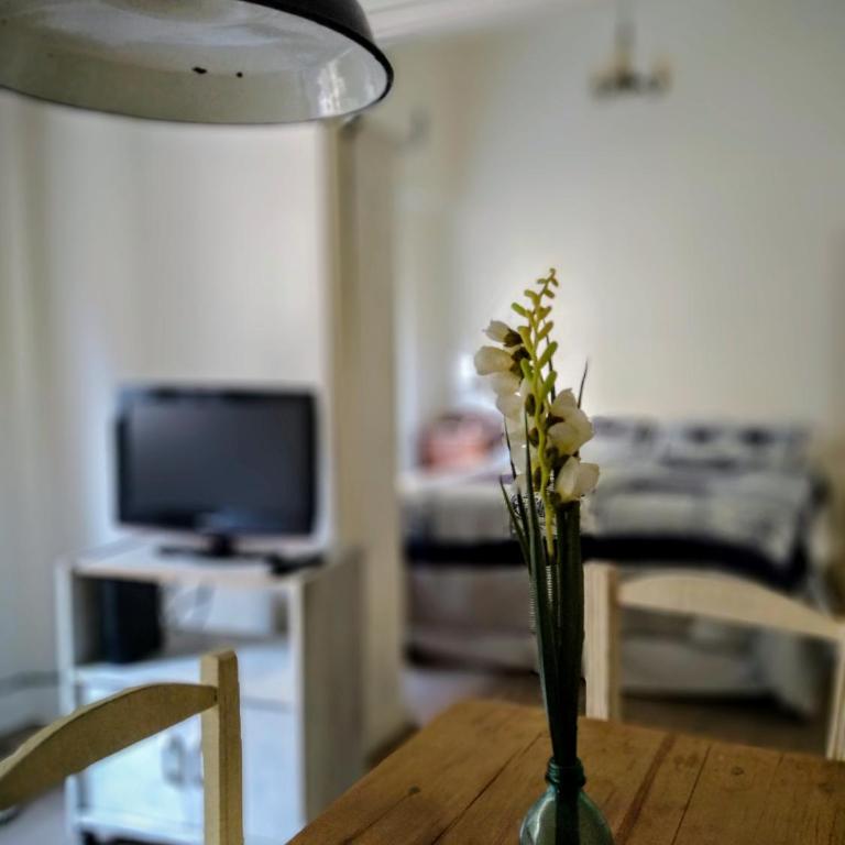 Amazing Studio in Recoleta - One-Bedroom Apartment - 13