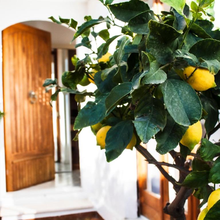 Taonasi Taormina Apartments - Appartamento con 3 Camere da Letto - 5