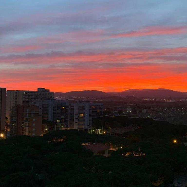 Apartamento primera línea de Mar Enjoy the view - Apartamento de 1 dormitorio - 22