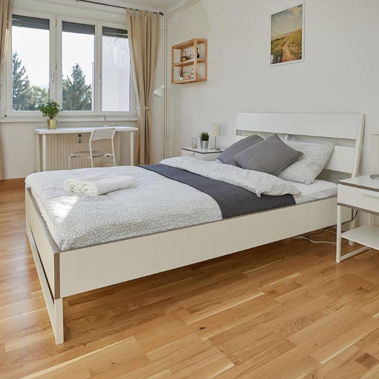 Gemütliches Apartment in zentraler Lage - Apartment mit 1 Schlafzimmer - 11