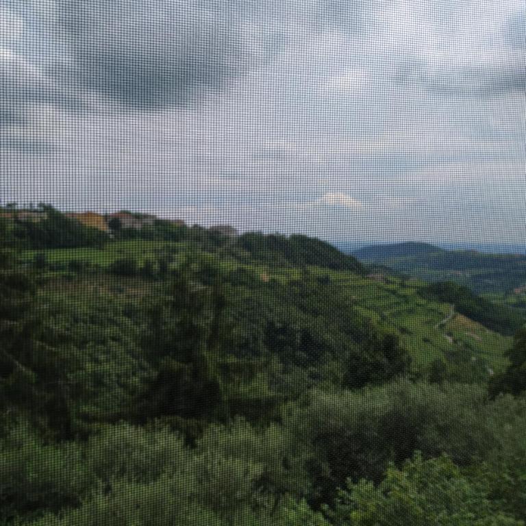 Dolci Vecchi Ricordi in Valpolicella - Appartamento con 1 Camera da Letto - 32