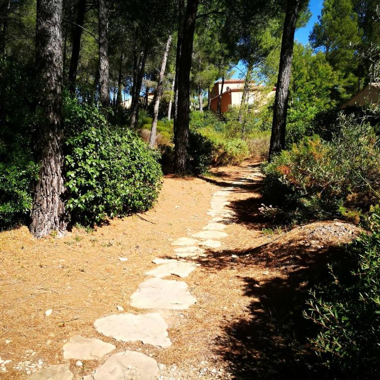 Villa Eléonore - plage à pied vue mer piscine sans vis-à-vis jardin 3600m² - Ted Home - Villa Supérieure - 23