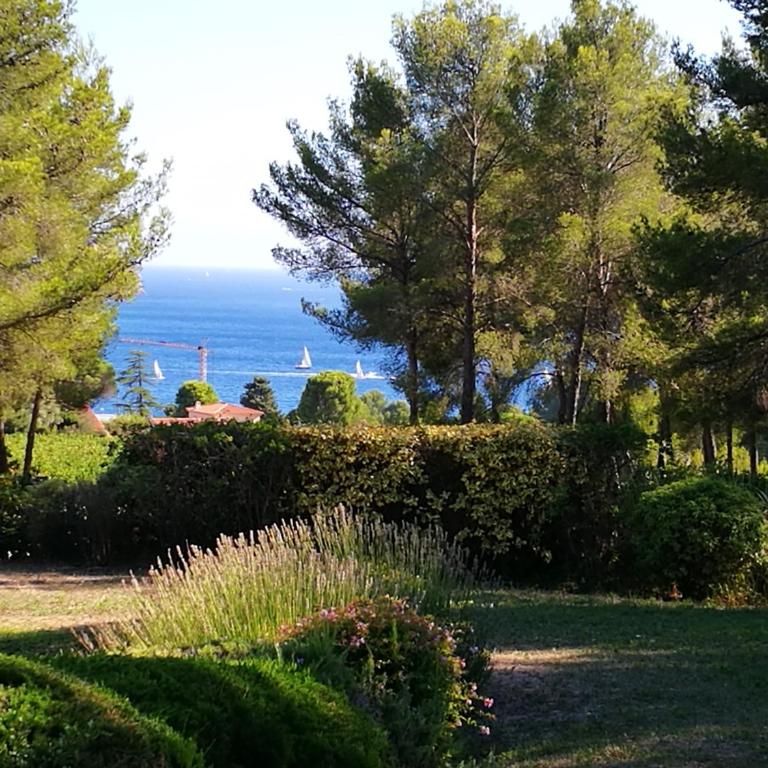 Villa Eléonore - plage à pied vue mer piscine sans vis-à-vis jardin 3600m² - Ted Home - Villa Supérieure - 4