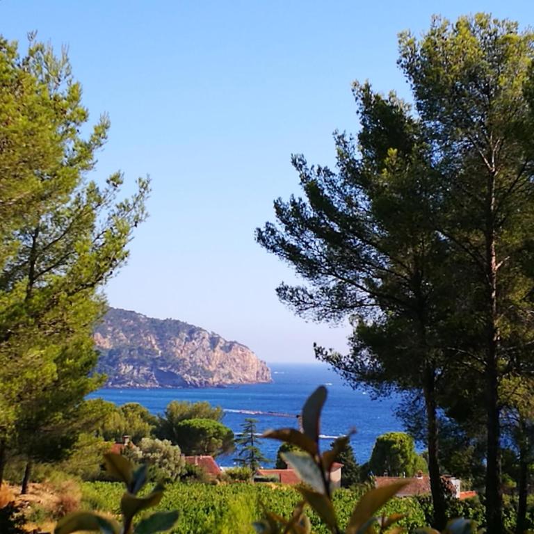 Villa Eléonore - plage à pied vue mer piscine sans vis-à-vis jardin 3600m² - Ted Home - Villa Supérieure - 25