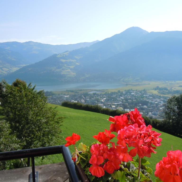 Areithof - Apartment mit 1 Schlafzimmer und Balkon - 71
