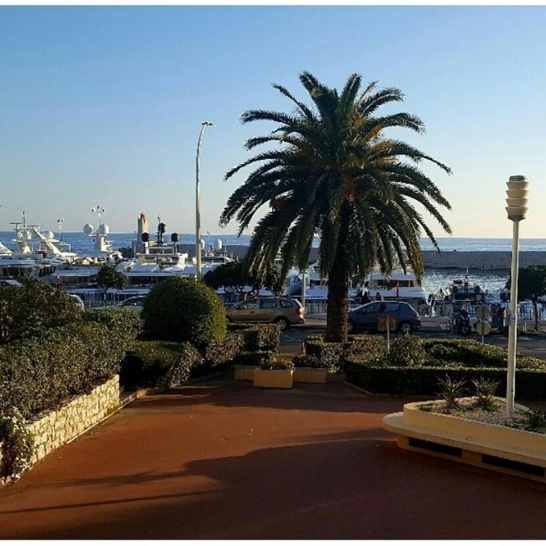 Charmant Studio en bord de Mer - Studio - 39
