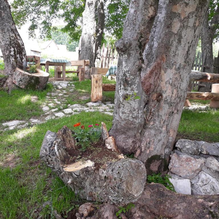 Apartments Javorje Zabljak - Two-Bedroom Apartment - 21