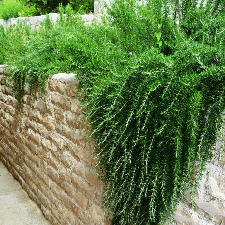 Sunset Holiday Home - Kuća sa 2 Spavaće Sobe - 30