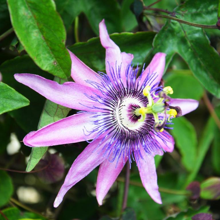 Sunset Holiday Home - Kuća sa 2 Spavaće Sobe - 36