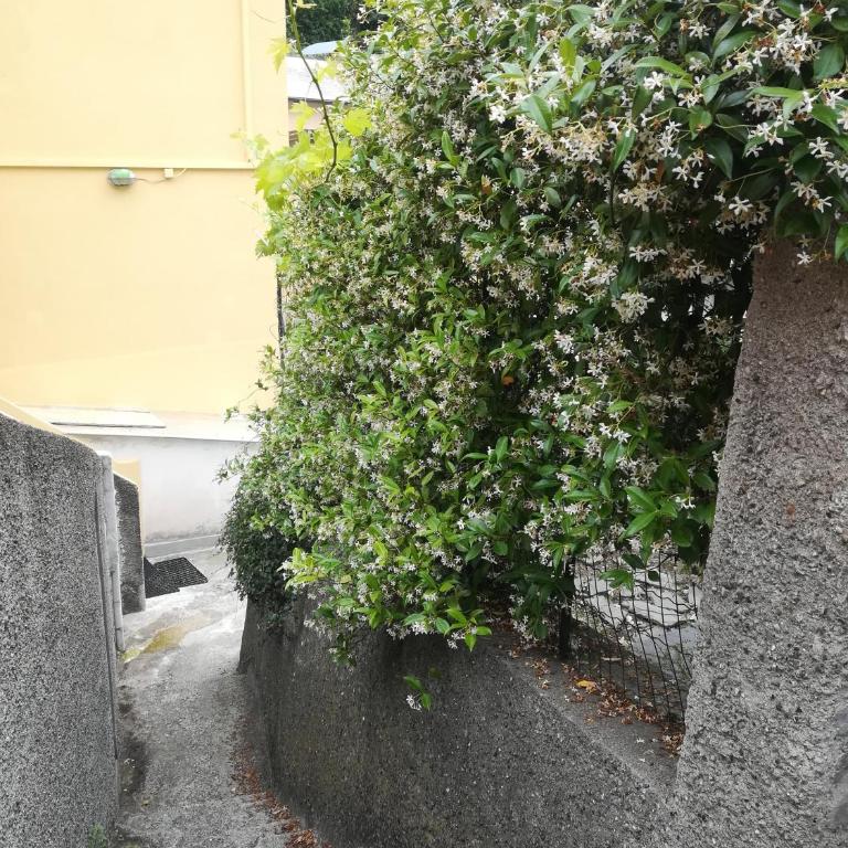 Affittacamere le oche - Camera Matrimoniale/Doppia con Letti Singoli con Bagno Privato - 18