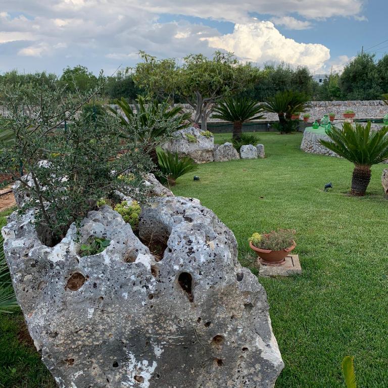B&B Villa Grassi - Appartamento con 1 Camera da Letto (2 Adulti) - 19
