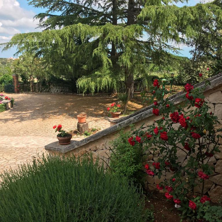Villa Marzano - Three-Bedroom Villa - 5