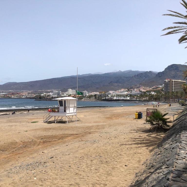 Parque Santiago II Tenerife - Estudio - 13