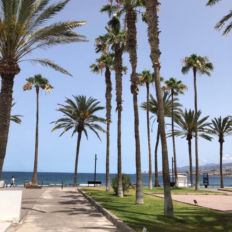 Parque Santiago II Tenerife - Estudio - 14