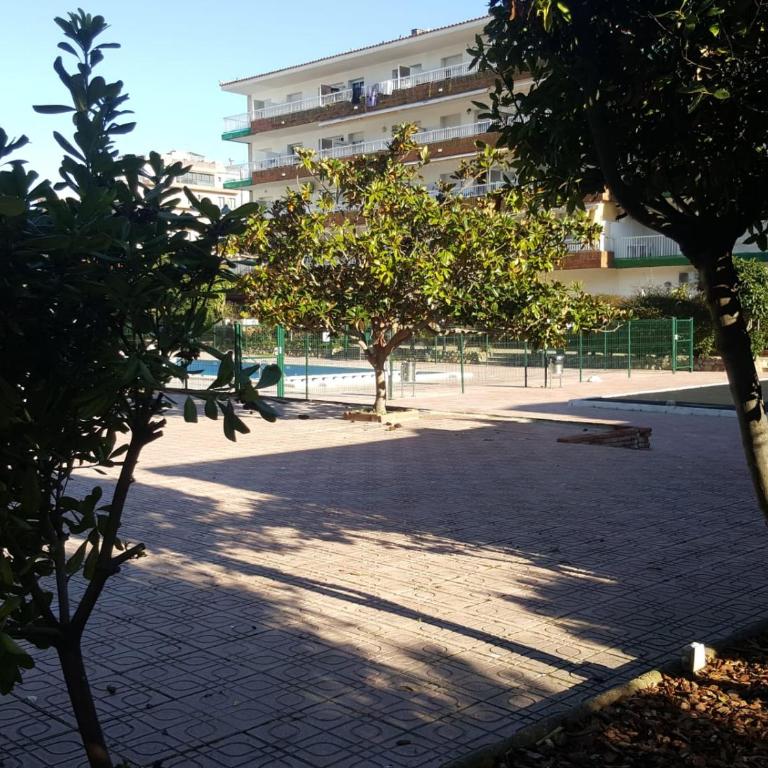 BRAVAHOLIDAYS-260-Lotus-2 - Apartamento de 2 dormitorios - 32
