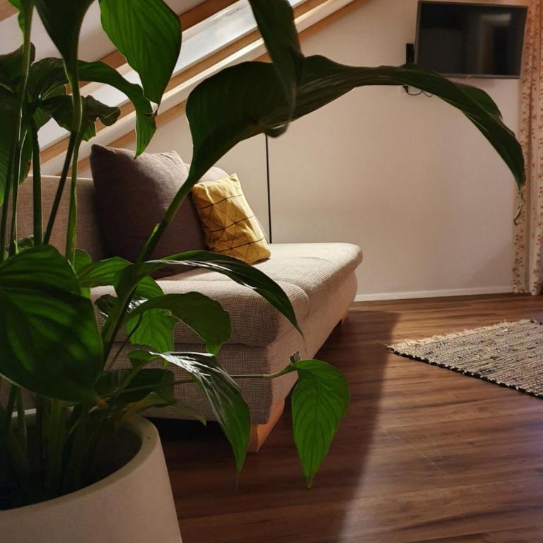 Ferienwohnung Leuner - Apartment mit 2 Schlafzimmern - 14