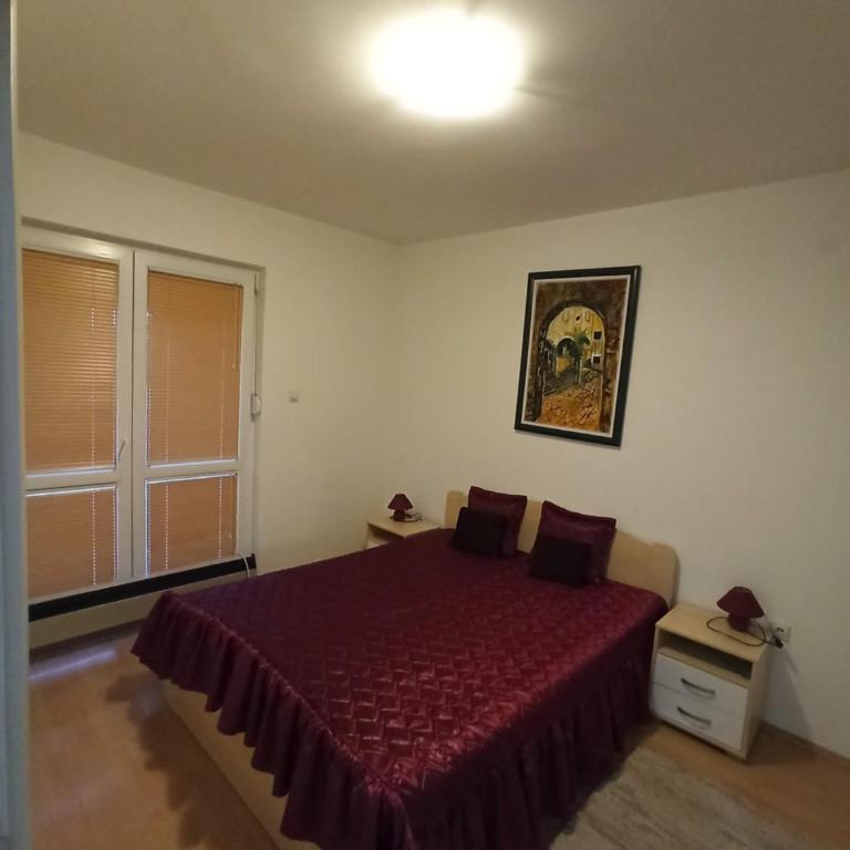 Apartman Savić - Standardni Apartman - 10