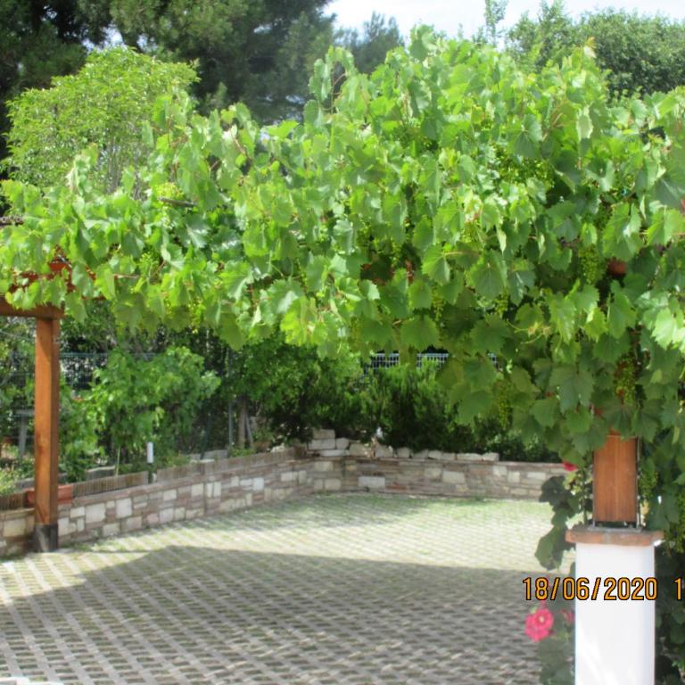 b&b Capo Le Vigne - Appartamento con 3 Camere da Letto - 7