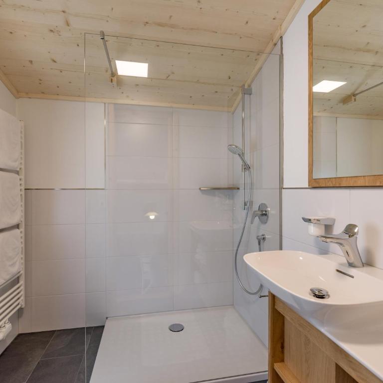 Appartement Hinterholzer - Apartment mit 1 Schlafzimmer - 3