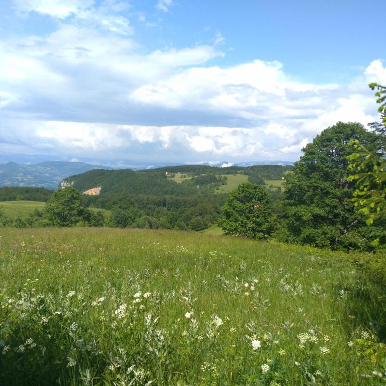Konak Pahulja TARA - Kuća sa 1 Spavaćom Sobom - 30