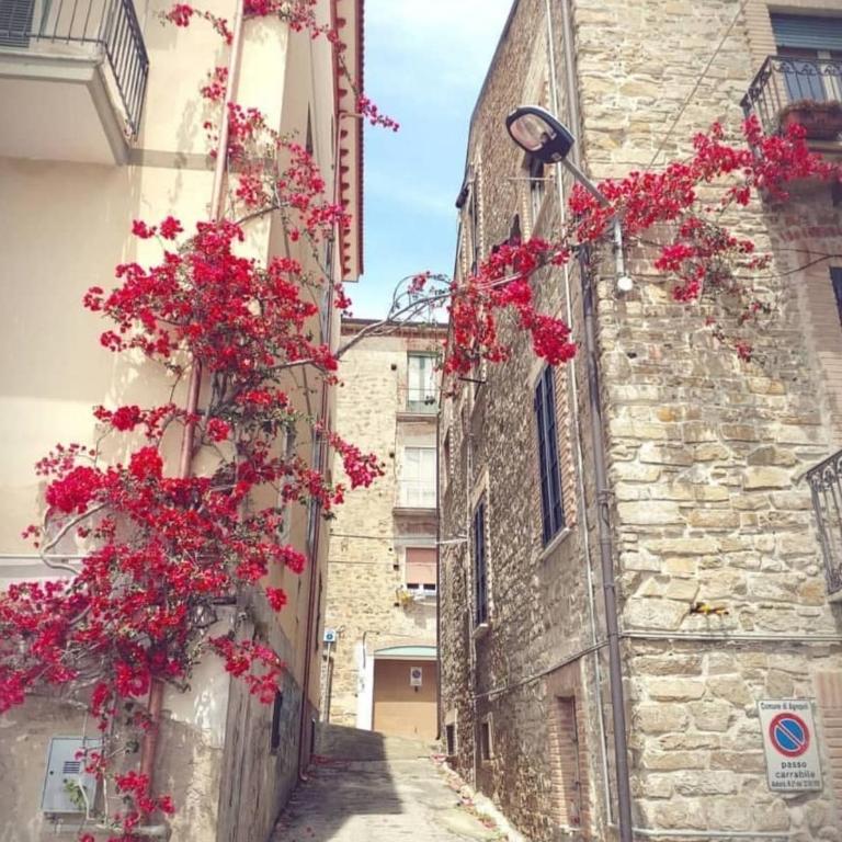 Historical Center with Garden "The Beach and The Cliff" 4 - Appartamento con Vista Giardino - 38