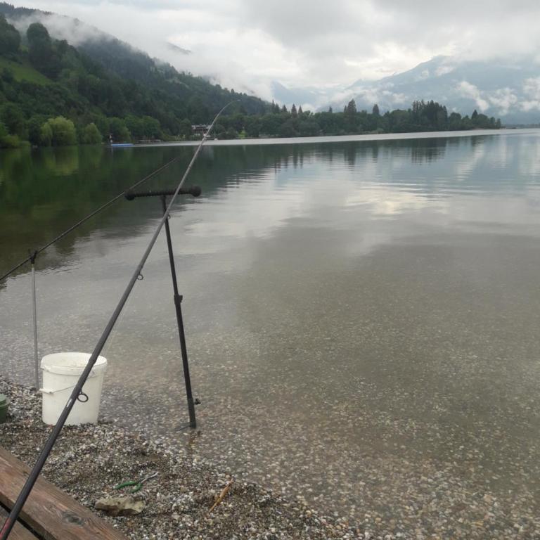 Wildente am See - Standard Studio für 3 Personen - 6