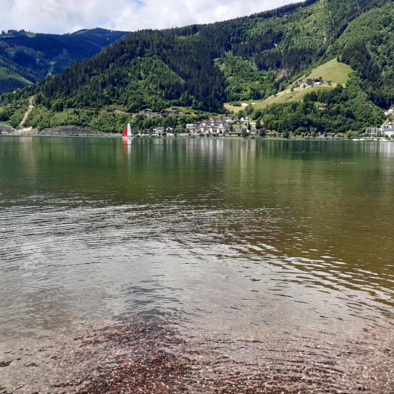 Wildente am See - Standard Studio für 3 Personen - 8