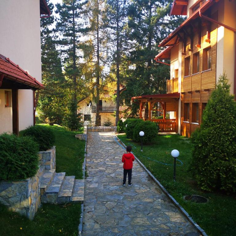 Apartman šumski vilenjak - Standard Apartment - 19