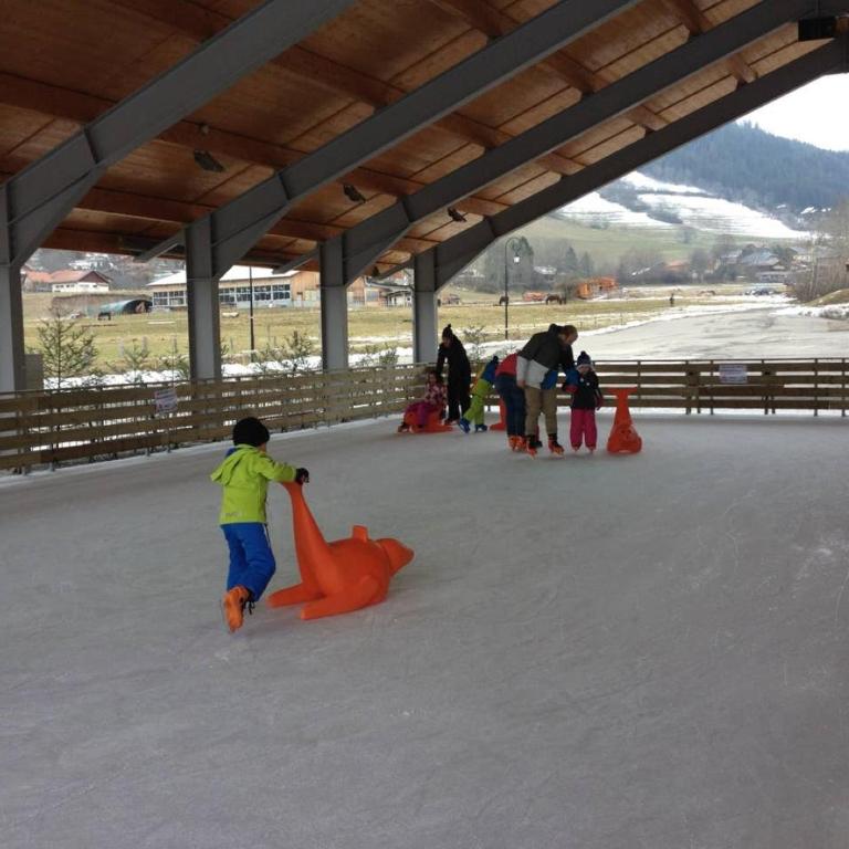 Le 211,ski et randonnée, WIFI, lave linge , ascenceur,parking gratuit - Studio - Vue sur Montagne - 27