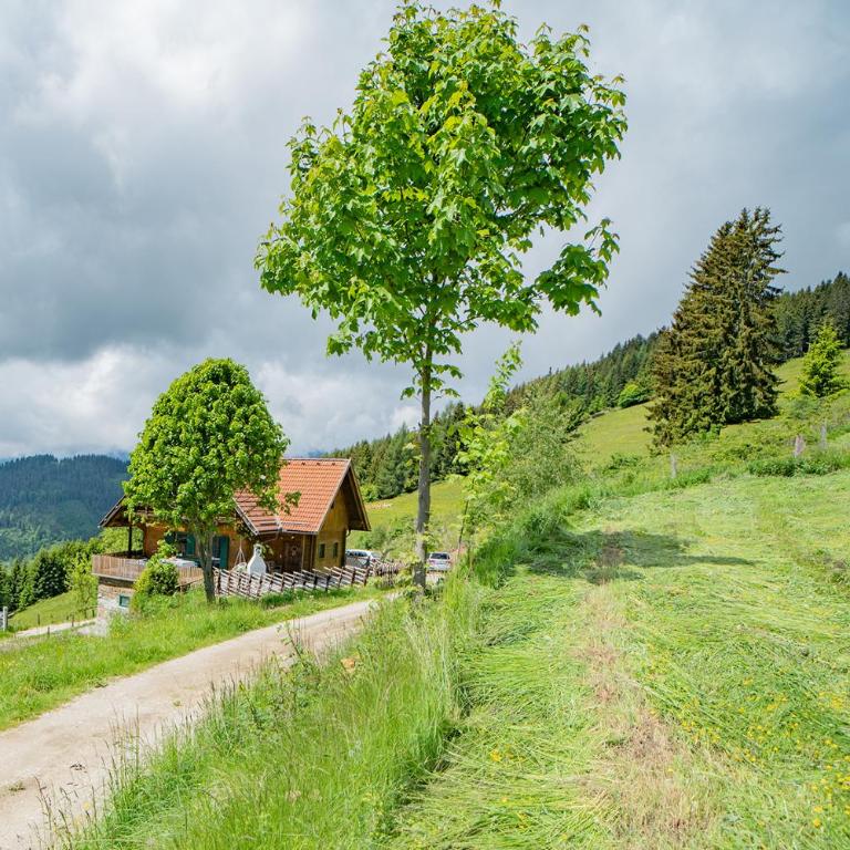 Kogljahrerhütte - Haus mit 3 Schlafzimmern - 3