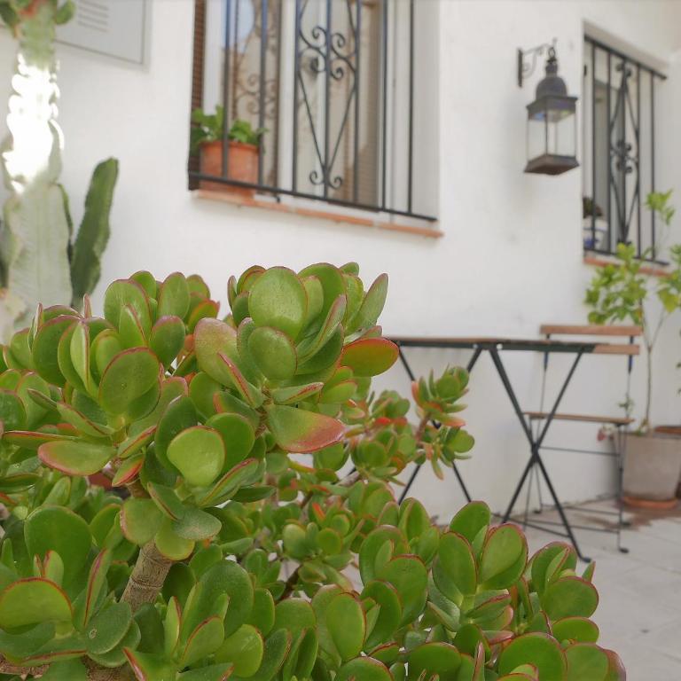 Amplio y con encanto en el centro histórico - Apartamento de 2 dormitorios - 30