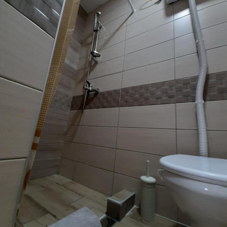 Apartment Matovic - Standard Studio - 5