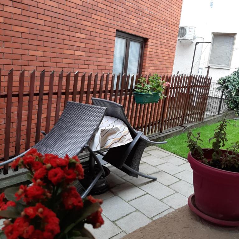 Apartment Matovic - Standard Studio - 2