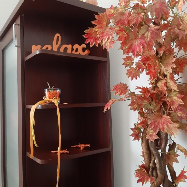 Nica Apartman Novi Sad - Apartman sa Balkonom - 7