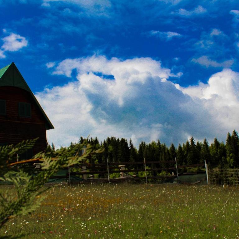 Vikendica Anja - Two-Bedroom Chalet - 13