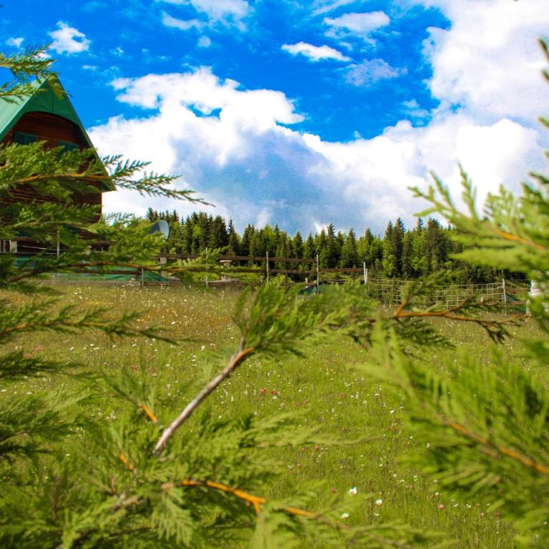 Vikendica Anja - Two-Bedroom Chalet - 29
