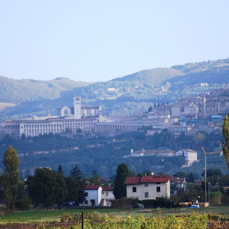 Casa Kennedy Assisi Views, 2 Baths & Easy Parking - Appartamento con 2 Camere da Letto - 26