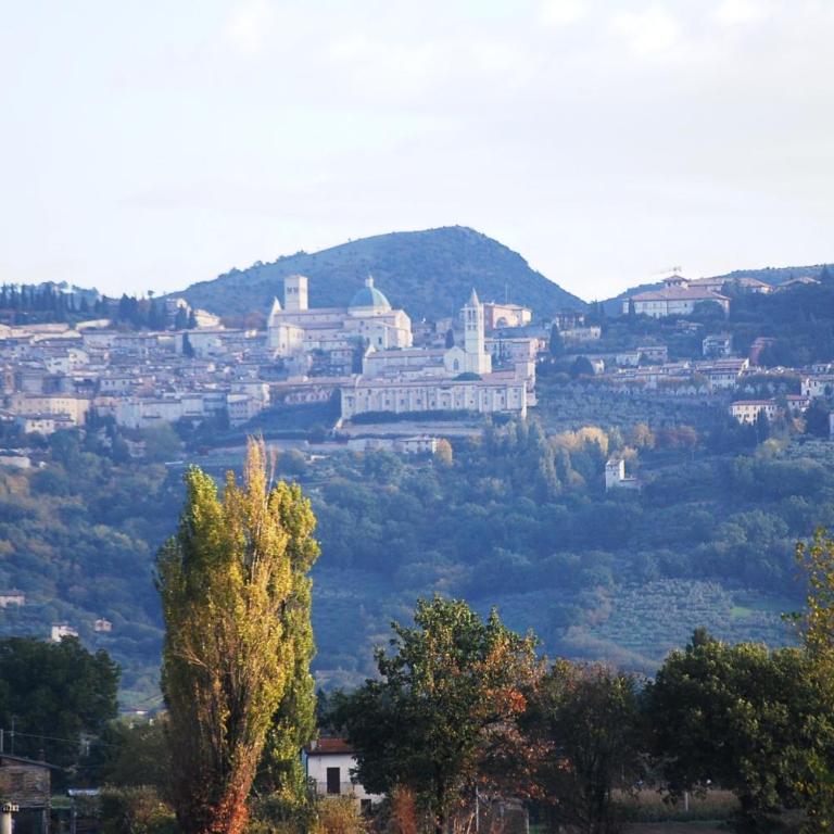 Casa Kennedy Assisi Views, 2 Baths & Easy Parking - Appartamento con 2 Camere da Letto - 27