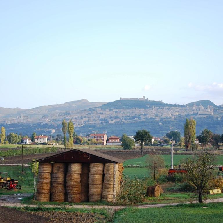 Casa Kennedy Assisi Views, 2 Baths & Easy Parking - Appartamento con 2 Camere da Letto - 23