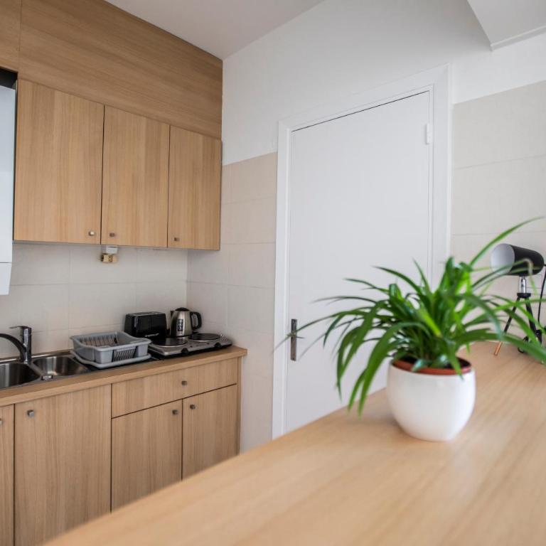 ++++ renovated cosy 50m2 sunny flat / balcony / close to beach and to the Palais des festivals ++++ - Appartamento con 1 Camera da Letto - 23