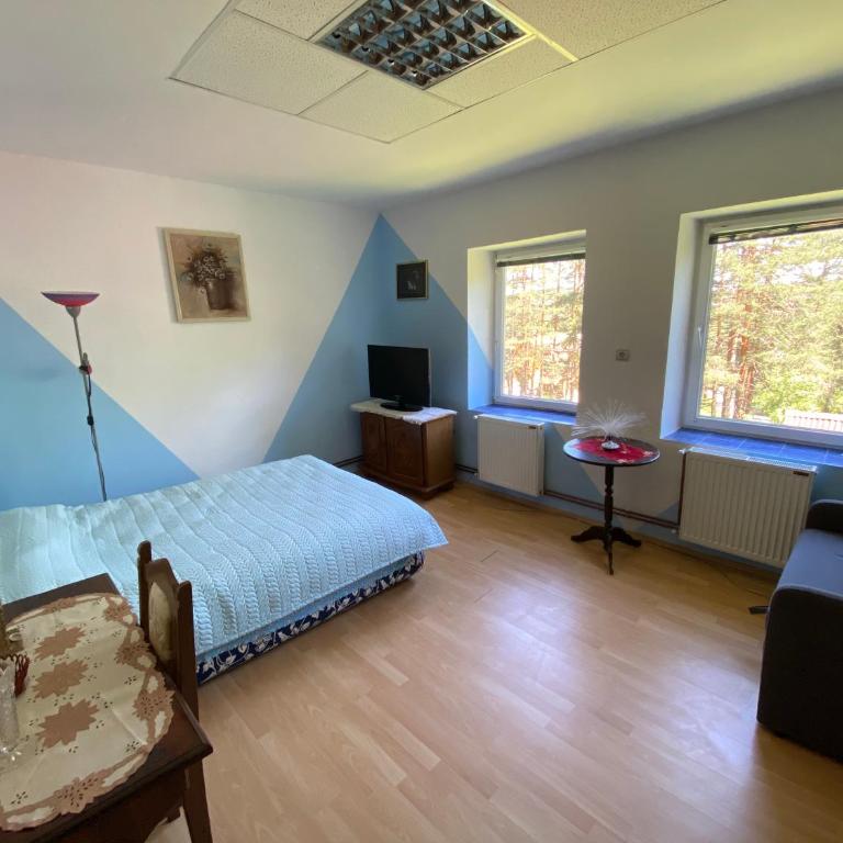 Natasa - Apartman sa 1 Spavaćom Sobom - 8