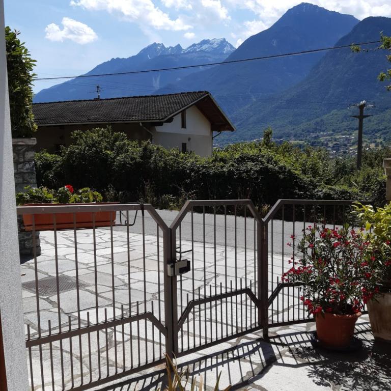 Il Pesco - CIR 0024 - Studio - 11