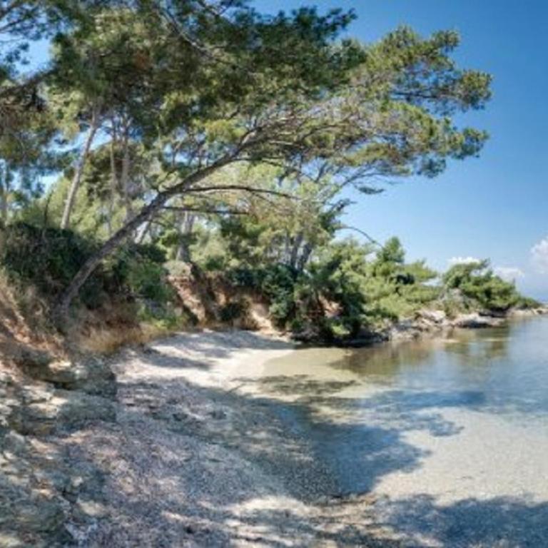 VUE MER 3 mn A PIED DE LA PLAGE LUMINEUX ET MODERNE - Apartment mit 2 Schlafzimmern - 52