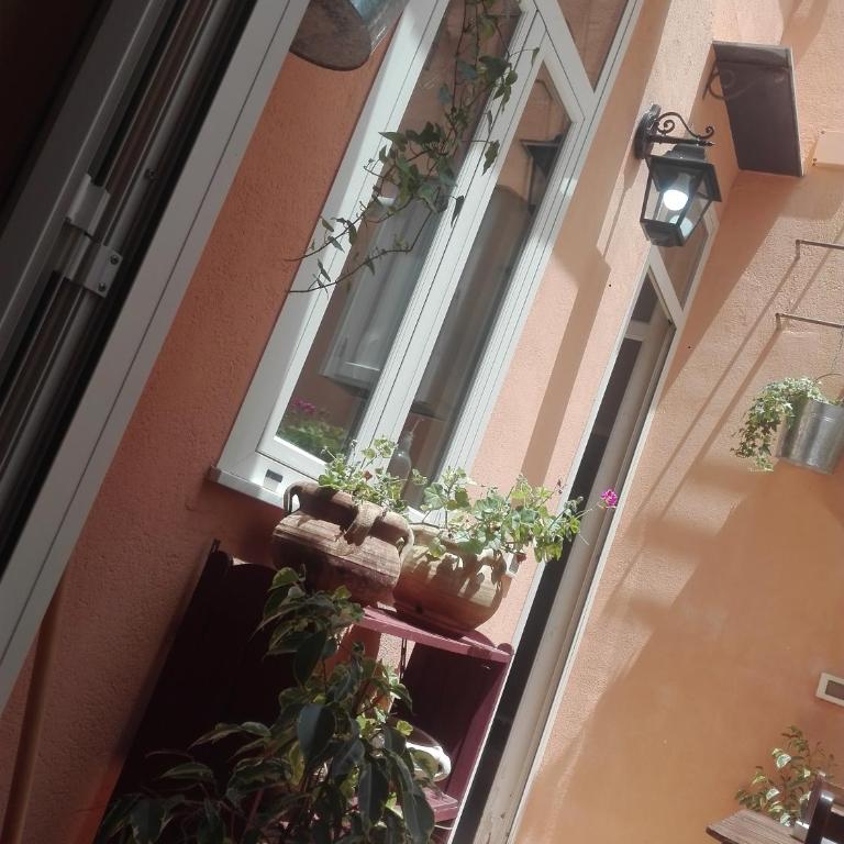 "RUNFULÌA" Deluxe apartment - Appartamento - 79